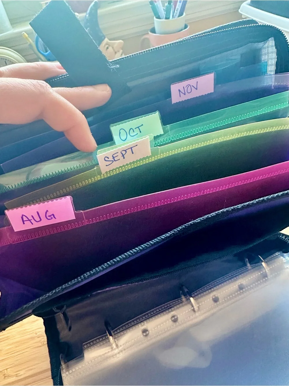 CaseIt / Organizer Binder Mini